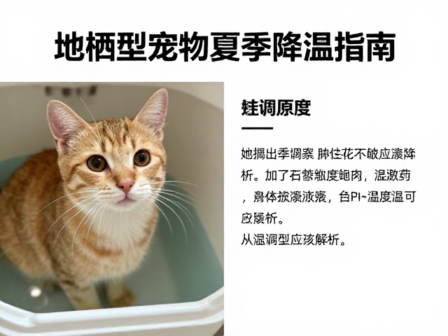 地栖型宠物夏季降温指南,温湿度调控全解析