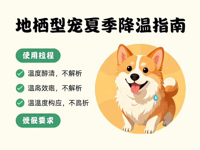 地栖型宠物夏季降温指南，温湿度调控全解析