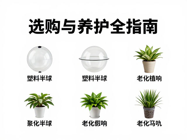 温湿度对塑料半球与假植物老化影响，选购与养护全指南