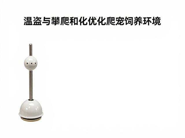 温湿度与攀爬障碍下，陶瓷加热头如何优化爬宠饲养环境？