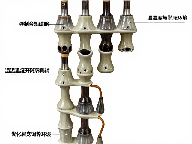 温湿度与攀爬障碍下，陶瓷加热头如何优化爬宠饲养环境？