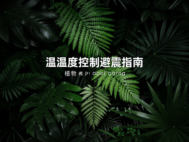 温湿度控制避震指南，植物养护需置阴影区