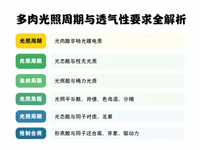 多肉养护,温湿度光照周期与透气性要求全解析