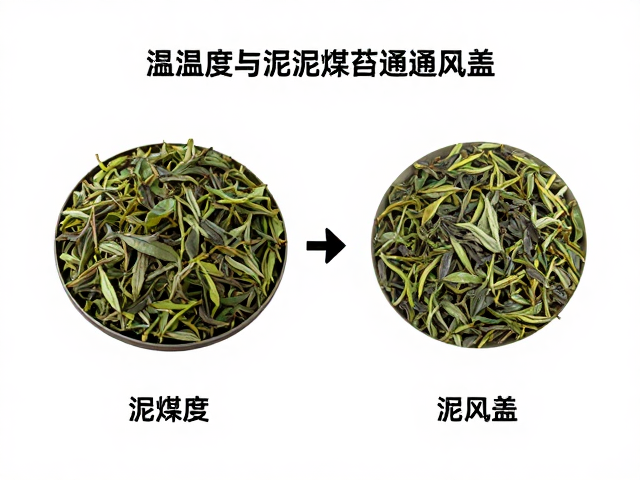 温湿度与泥煤苔通风盖，茶叶仓储保鲜的核心逻辑与实操指南