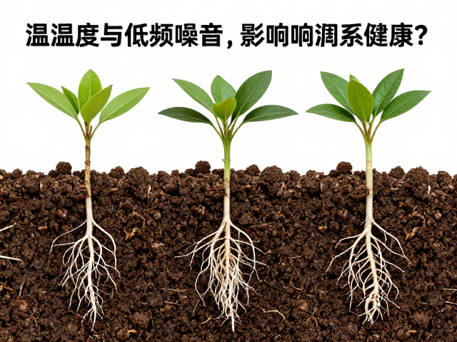 腐叶土养花必看，温湿度与低频噪音如何影响根系健康？