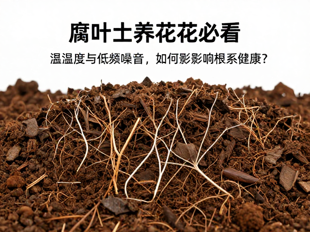 腐叶土养花必看，温湿度与低频噪音如何影响根系健康？