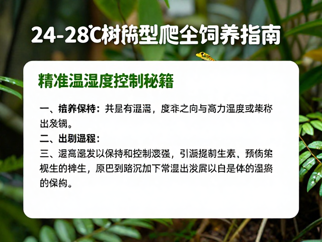 24-28℃树栖型爬虫饲养指南，精准温湿度控制秘籍