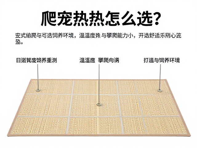 爬宠加热垫怎么选？结合温湿度与攀爬能力，打造安全舒适饲养环境