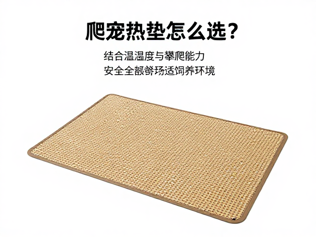 爬宠加热垫怎么选？结合温湿度与攀爬能力，打造安全舒适饲养环境
