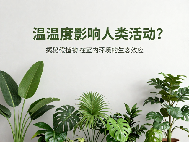 温湿度如何影响人类活动？揭秘假植物在室内环境的生态效应