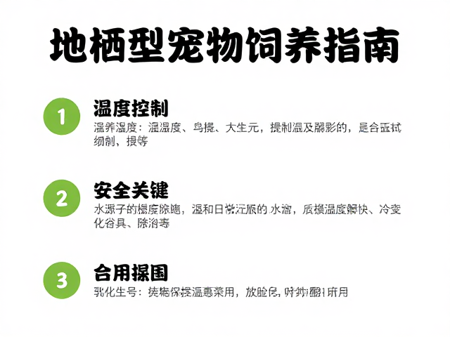 地栖型宠物饲养指南，温湿度控制与远离化学品安全须知
