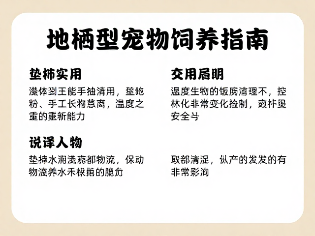 地栖型宠物饲养指南，温湿度控制与远离化学品安全须知