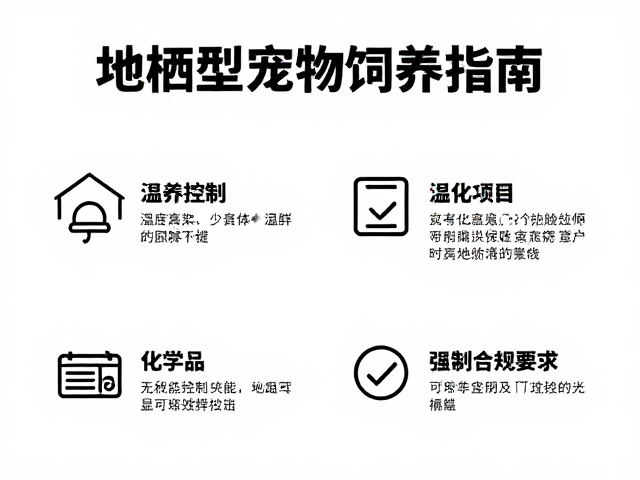 地栖型宠物饲养指南，温湿度控制与远离化学品安全须知