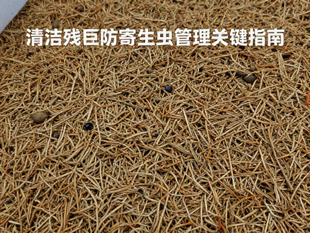 清理残饵防寄生虫感染，饲料管理关键指南