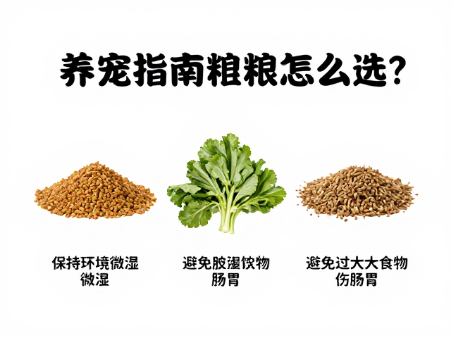 养宠指南，饲料怎么选？保持环境微湿，避免过大食物伤肠胃