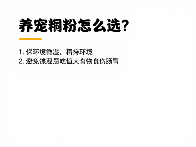养宠指南，饲料怎么选？保持环境微湿，避免过大食物伤肠胃