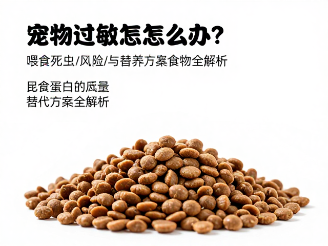 宠物食物过敏怎么办？喂食死虫风险与替代方案全解析