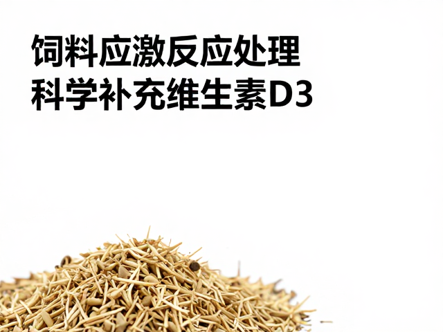 饲料应激反应处理，科学补充维生素D3，提升养殖效益