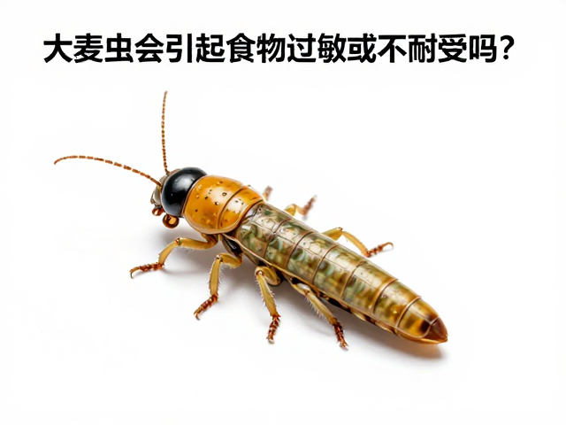 大麦虫会引起食物过敏或不耐受吗？科学解析饲料风险