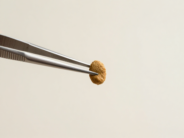 镊子夹持投喂技巧，避免宠物过度喂食肥胖，科学控制饲料量