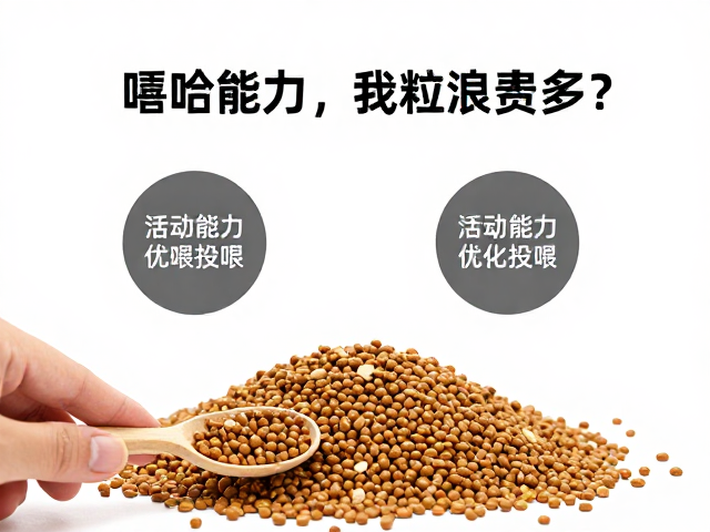 喂食工具选不对，饲料浪费多？结合活动能力优化投喂