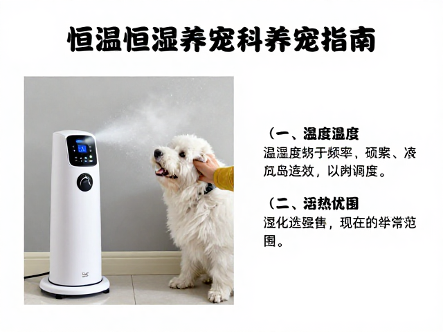 恒温恒湿养宠指南，温湿度、喷雾频率与活动范围科学调控法