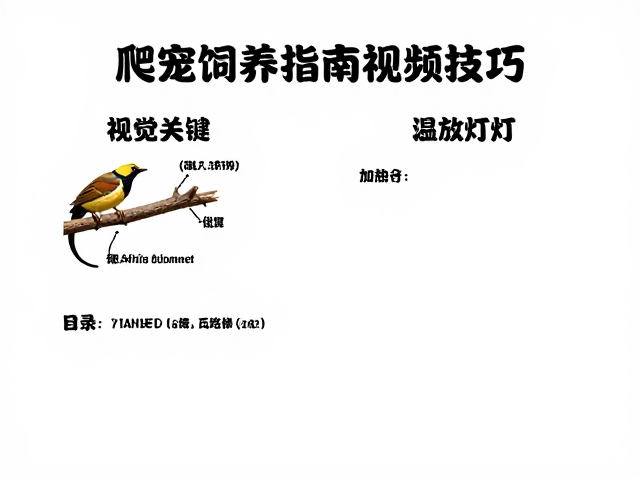 爬宠饲养指南,温湿度、加热灯与树枝的摆放技巧