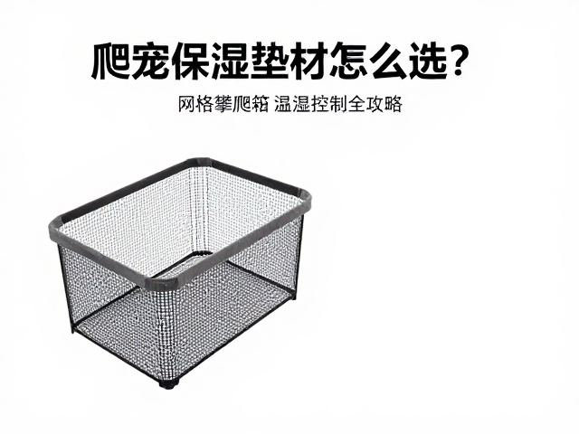 爬宠保湿垫材怎么选？网格攀爬箱温湿度控制全攻略