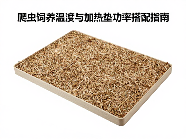 爬虫饲养温湿度与加热垫功率搭配指南，通用垫材选择技巧