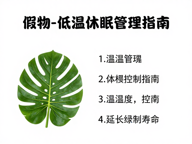 假植物低温休眠期管理,温湿度控制指南,延长绿植寿命