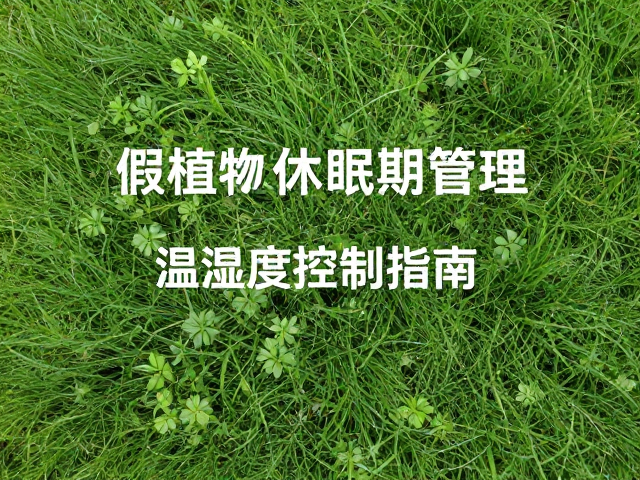 假植物低温休眠期管理,温湿度控制指南,延长绿植寿命