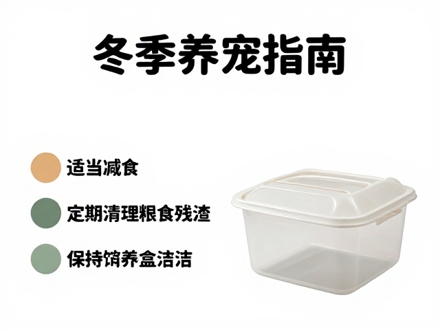 冬季养宠指南，适当减食，定期清理饲料残渣，保持饲养盒洁净
