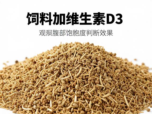 饲料加维生素D3怎么喂？观察腹部饱满度判断效果