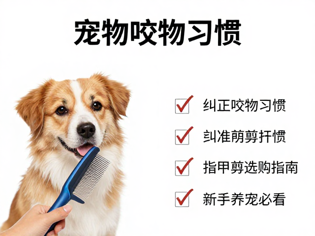 宠物梳毛技巧，纠正咬物习惯，指甲剪选购指南，新手养宠必看