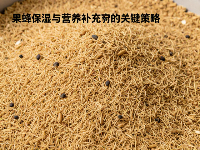 果蝇防治，饲料保湿与营养补充的关键策略