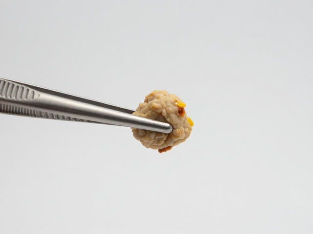 动物食欲变化?试试镊子夹持投喂,解决挑食难题