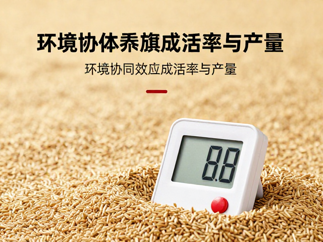 饲料,新鲜活体养殖,温湿度计如何提升成活率与产量