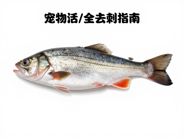 宠物活体食物去刺指南，从腹部形状判断鱼刺风险
