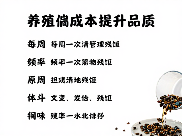 饲料管理，每两周1次清理残饵，降低养殖成本提升品质