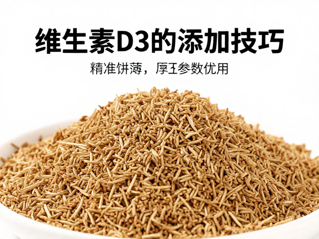 饲料保湿与营养补充，维生素D3的关键作用与添加技巧