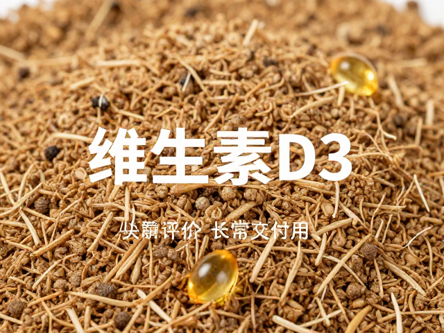 饲料保湿与营养补充，维生素D3的关键作用与添加技巧