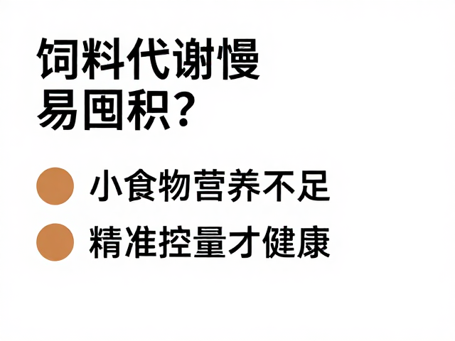 饲料代谢慢易囤积？过小食物营养不足，精准控量才健康