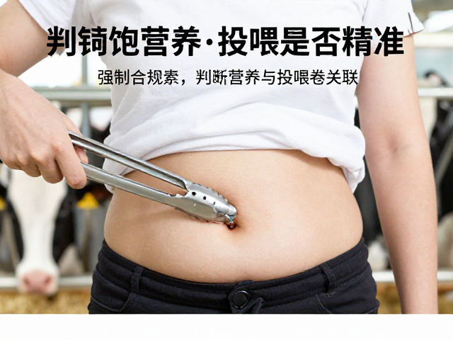 用食品夹观察腹部饱满度，判断饲料营养与投喂是否精准