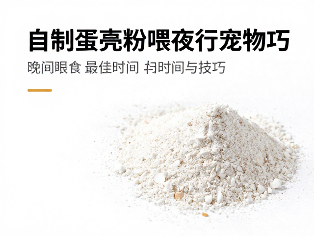 自制蛋壳粉喂夜行宠物，晚间喂食最佳时间与技巧