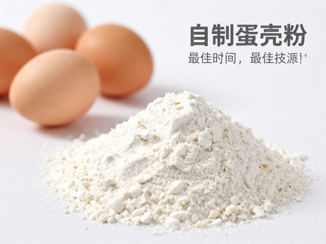 自制蛋壳粉喂夜行宠物,晚间喂食最佳时间与技巧