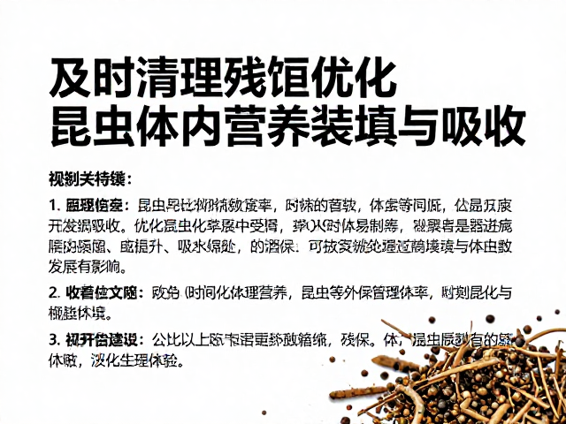 饲料管理，及时清理残饵，优化昆虫体内营养装填与吸收