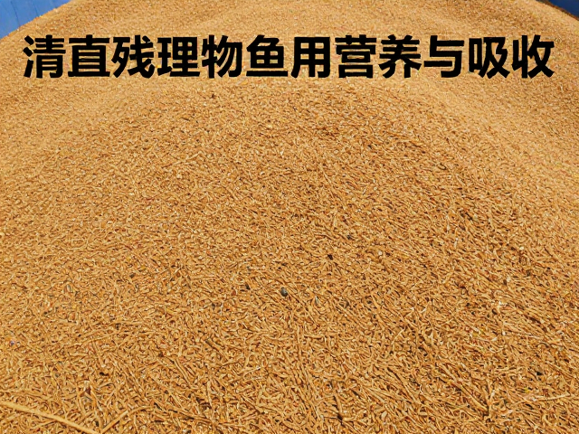 饲料管理，及时清理残饵，优化昆虫体内营养装填与吸收