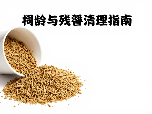 饲料与食物残留清理指南，保持高湿度环境的关键技巧