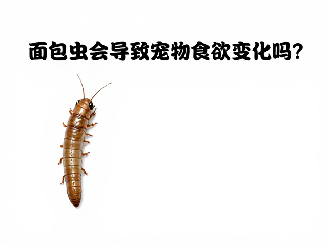 面包虫会导致宠物食欲变化吗?专家揭秘饲料投喂误区