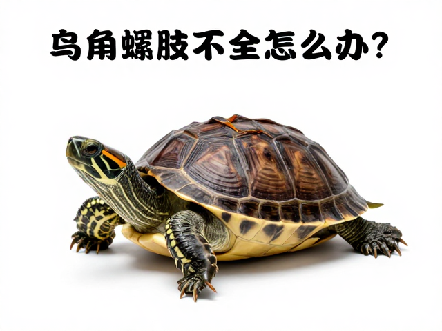 乌龟蜕皮不全怎么办?掌握蜕皮周期,防止肢体损伤的养护指南